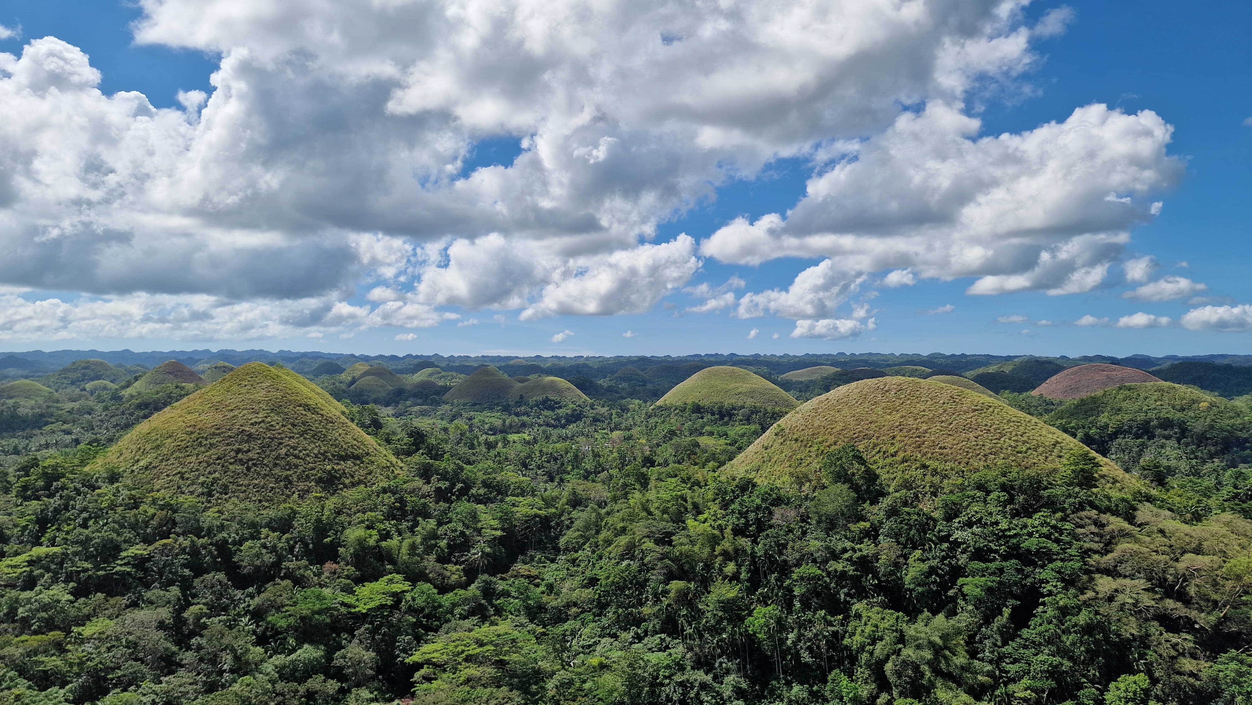 Bohol